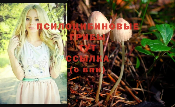 apvp Абинск