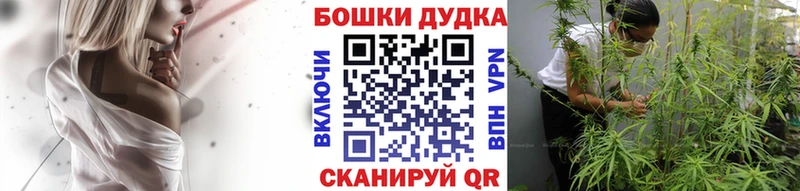 Канабис OG Kush  Альметьевск 